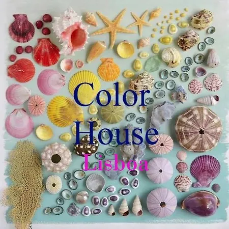 Color House In Apartment Lisbon